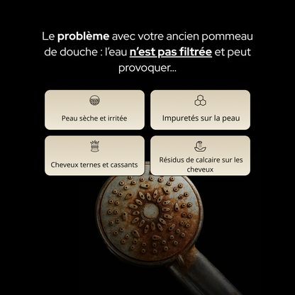 Dalyra Pure™ Diffuseur de douche filtrant 3 en 1